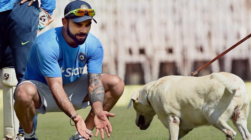 Virat Kohli, who loves animals, was seen spending a lot of time with the security dogs on the eve of the India versus England Chennai Test. (Photo: PTI)