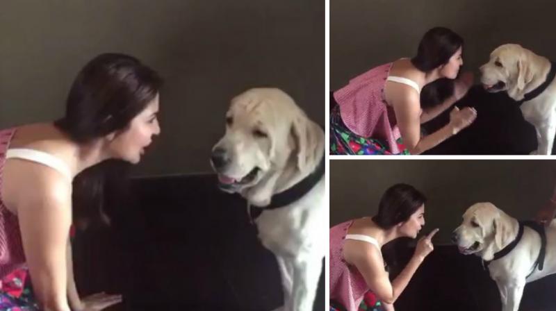 Screengrabs from the video Anushka Sharma posted.