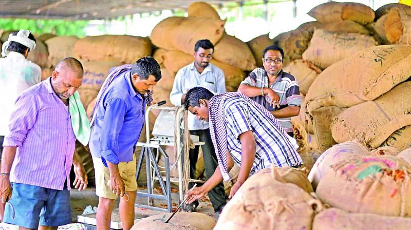 The transactions at Guntur Mirchi yard have resume after the summer holidays. Market purchase scheme in AP for red chilli farmers is about to close towards the month end. So farmers are making the most of it. (Photo: DC)