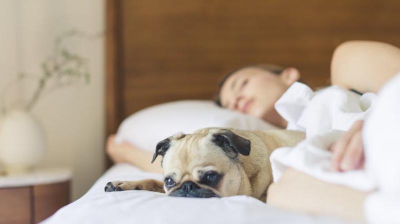 Longer sleep could lead to a better diet. (Photo: Pexels)