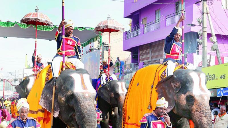Elephants lead the procession of vahanas of Goddess Padmavathi Devi at Tiruchanoor temple during Brahmotsavams. (Photo: DC)