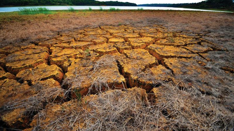 Dried up Sasthamkotta Lake. (File pic)