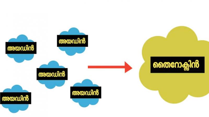 A screenshot of Malayalam video tutorial. (Photo: DC)