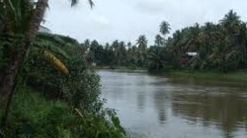 Karuvannur River