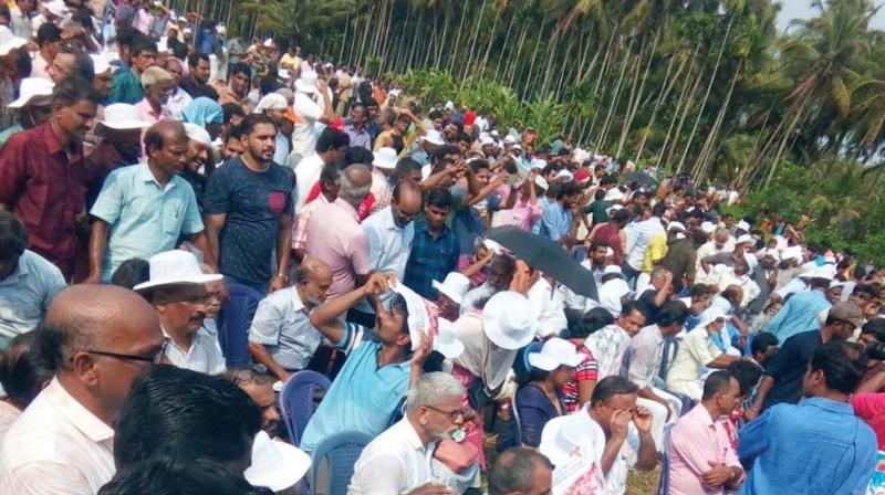 People gather at Keezhattoor paddy field on Sunday to express solidarity with the protesting Vayalkilikal for green cause. (Photo: DECCAN CHRONICLE)