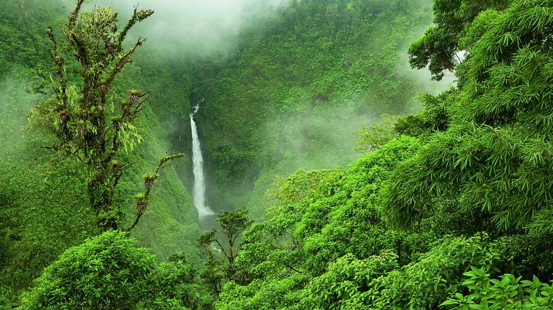 After all, the cloud forests of this country, whose name is a somewhat-understated geographical description (Costa Rica literally translates to rich coast), host a dizzying 500,000 species.