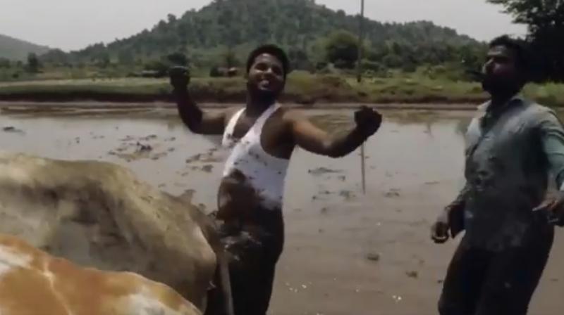 The dance was shot in Tirupatis farmland on August 1 and shared on social media. (Photo: Video screengrab)