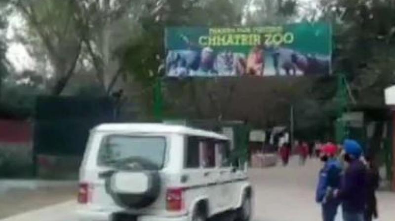 Following the incidents, the lion safari has been closed for the time being for visitors. (Photo: ANI | Twitter)