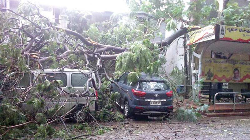 A tree branch crashes over vehicles in Jayanagar, Bengaluru after heavy rains on Sunday evening (Photo: R. Samuel)