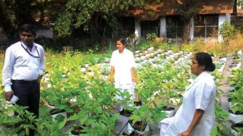 State level workshops on organic farming and horticulture will be conducted and Chief Minister N. Chandrababu Naidu is expected to be present.