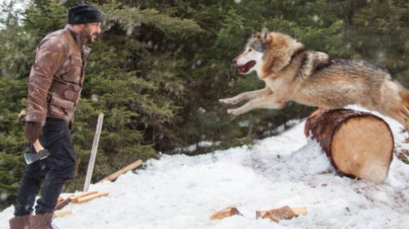 Salman Khan performing daredevil stunt in Tiger Zinda Hai.