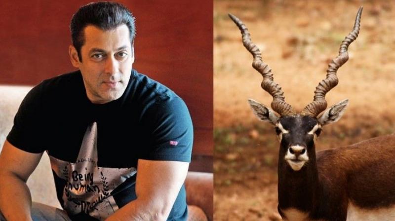 Salman Khan and a black buck.