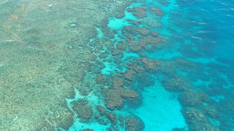 For the second time in just 12 months, scientists have recorded severe coral bleaching across huge tracts of the Great Barrier Reef after completing aerial surveys along its entire length. (Photo: Pixabay)