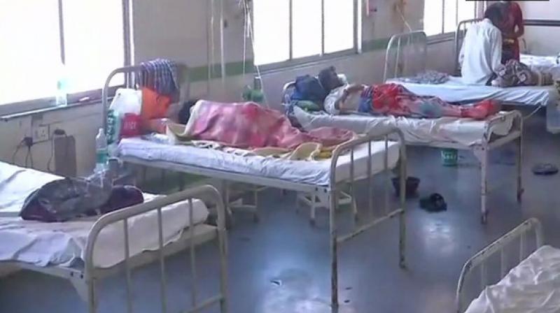 Swine flu is an infection caused by one of the several swine influenza viruses (SIV), with the H1N1 strain being the most common across the country. (Photo: ANI)