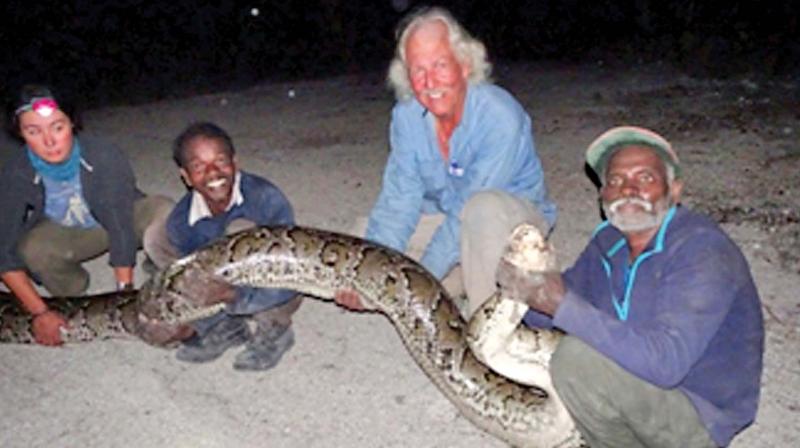 Masi and Vadivel along with Romulus Whitaker enjoying what they love to do  catch snakes in Florida.