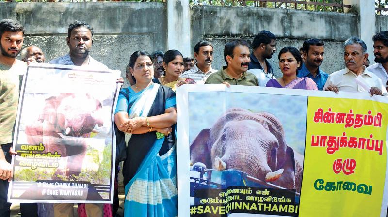 Environmentalists, animal activists, heads and  representatives of various NGOs with their petition at the district collectorate on Monday (Photo: DC)