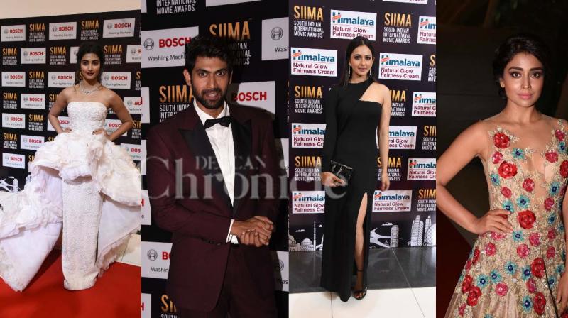 SIIMA 2017: Rana, Pooja, Rakul Preet and others glitter on the red carpet