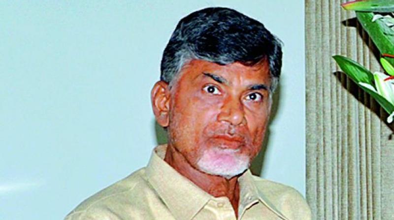 Andhra Pradesh Chief Minister N. Chandrababu Naidu.