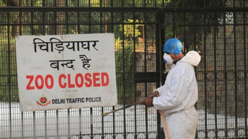 A Zoo staff member covers his face while spraying chemicals to prevent the Bird Flu (H5N1 avian influenza virus) at Delhi Zoo. (Photo: PTI)