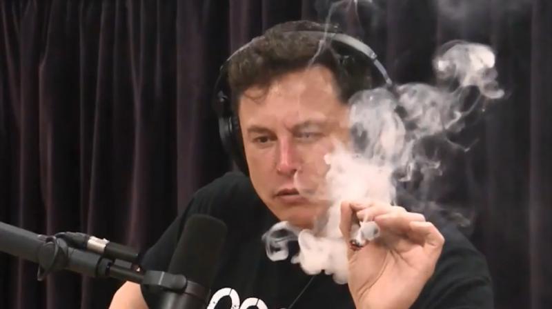 Dillion even went on to praise Musk for his adventourous spirit, which makes him fit for a role in a porn movie involving weeds. (Photo: Joe Rogan Experience podcast)