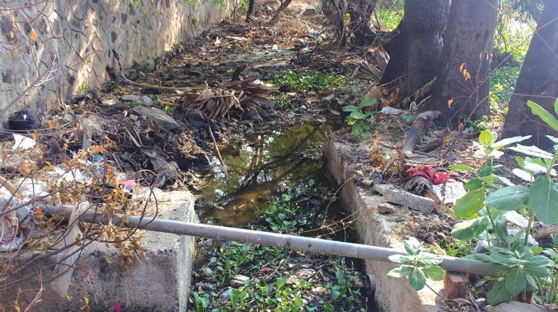 A blocked stormwater drain connecting Tiruneermalai lake near Pammal (Photo: DC)