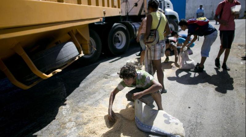 In this Nov. 14, 2016 photo, a youth uses his pillow as a bag to collect rice from the pavement that shook loose from a food cargo truck waiting to enter the port in Puerto Cabello, Venezuela, the port that handles the majority of Venezuelas food imports. (Photo: AP)