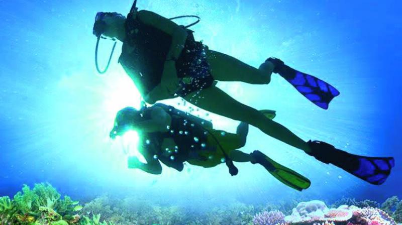 Diving can be experienced even from a depth of one metre.