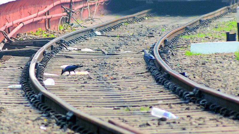 Birds feast on the leftover plastic garbage on the tracks of Visakhapatnam railway station on Thursday. 	(Photo: DECCAN CHRONICLE)