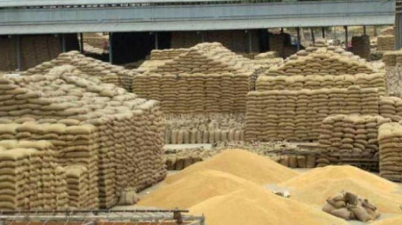 In Karimnagar, seeds worth Rs 2.29 lakh were seized and 13 cases booked. Fourteen cases in Peddapalli yielded seeds worth Rs 88,000. (Representational Image)
