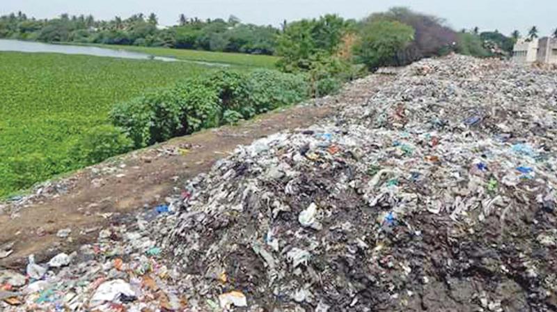 Loads of garabage being dumped on the bed of  Chitlapakkam lake. (Photo: DC)