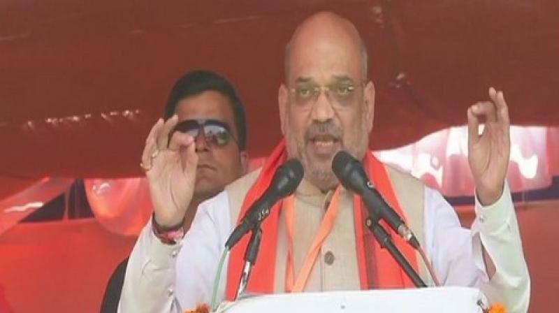 Taking a jibe at Andhra CM, Amit Shah accused Naidu of misguiding the people of the state. (Photo: ANI | Twitter)
