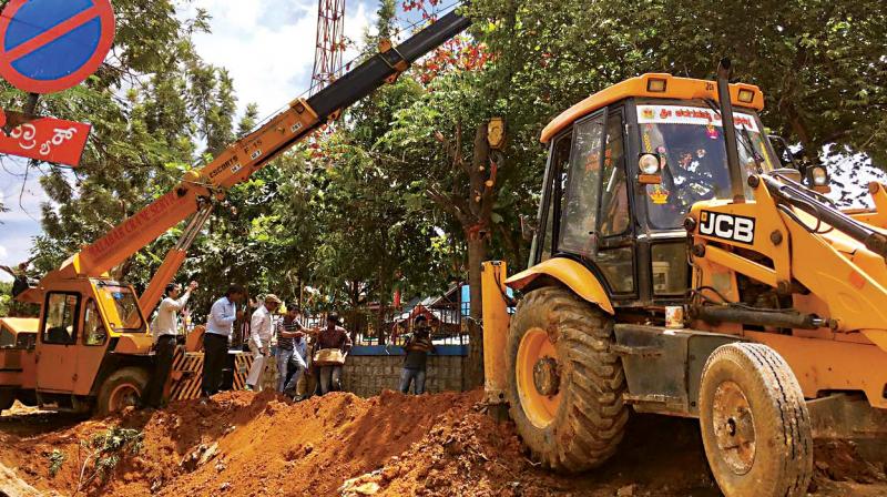 Trees being translocated on Jayamahal Road on Thursday       (Photo:DC)