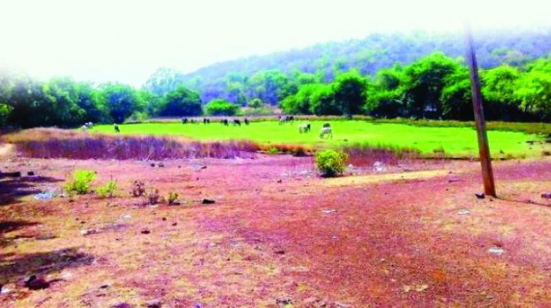 During the land record purification drive recently undertaken by the revenue department, officials found that 10.37 lakh acres of land in the state was under dispute.