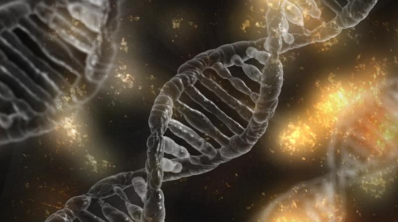 Rare gene mutation tha lowers sensitivity to pain discovered. (Photo: Pixabay)