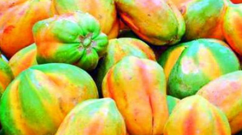 Officials of the vigilance and enforcement in association with food safety officials raided a fruits godown and seized four tonnes of artificially ripened papayas at Seethampeta area in Vizag city.