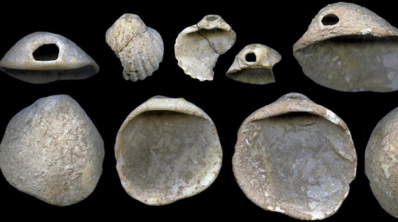 The image provided by Joao Zilhao in February 2018 shows perforated shells found in sediments in the Cueva de los Aviones near Cartagena, Spain. The artifacts date to between 115,000 and 120,000 years ago.