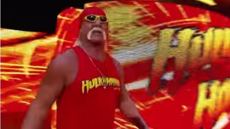 Stone believes that the Hulkster would body slam his opponents in every debate. (Youtube Screengrab)
