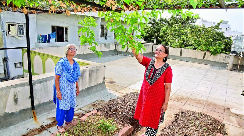 Learning consultant Poonam Bhide with Asha Bhide on the terrace roof garden in Secunderabad. (Photo: DC)