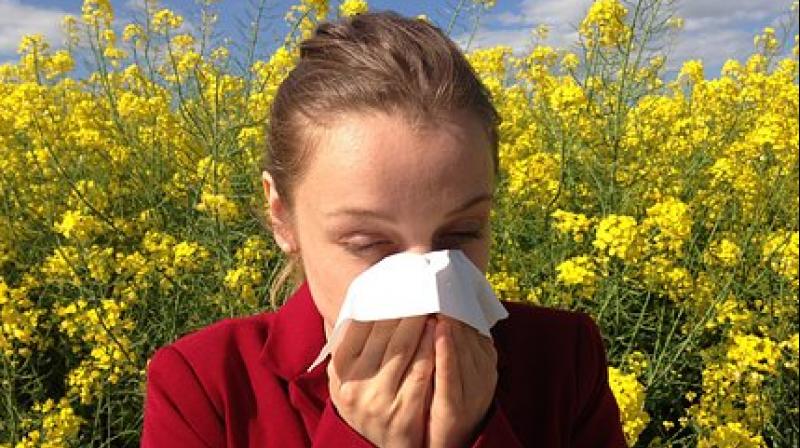 The breakthrough could pave the way for a far more effective allergy medicine. (Photo: Pixabay)