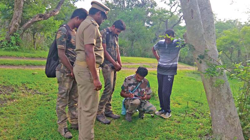 Pre-monsoon animal population estimation  commenced at buffer zone jungles at MTR on Saturday. (Photo:DC)