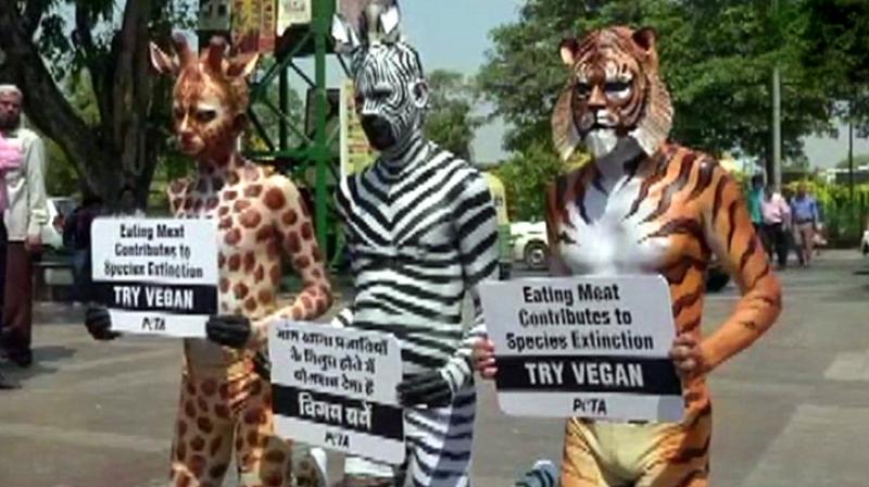 PETA representative Neha said, \Our aim is to spread awareness among the people about how their demand for eggs and meat is forcing the clearing of forest land.\ (Photo: ANI)