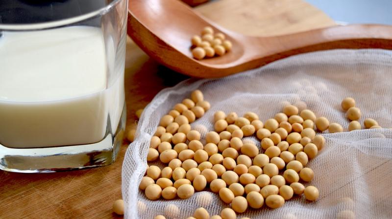 Up until now physicians generally discouraged their breast cancer patients from eating soy foods because of potential harm (Photo: Pixabay)