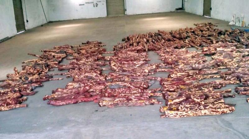 Red Sanders seized by Directorate of Revenue Intelligence. (Photo:DC)