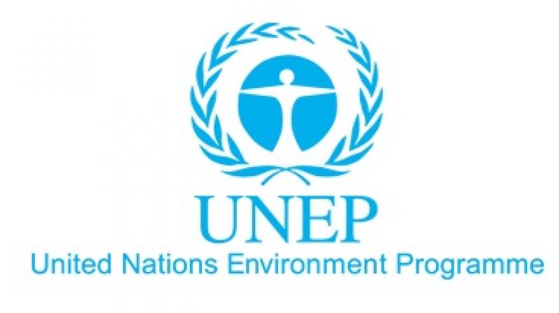 United Nations Environmental Programme logo (Photo: muntr.org)