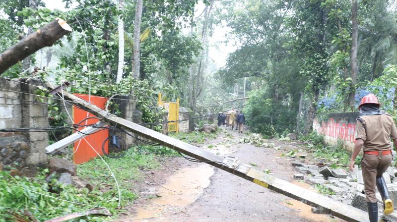 A tree and an electric post that got uprooted at KS Road at Kovalam on Thursday.  (Photo: A.V. MUZAFAR, PEETHAMBARAN PAYYERI)