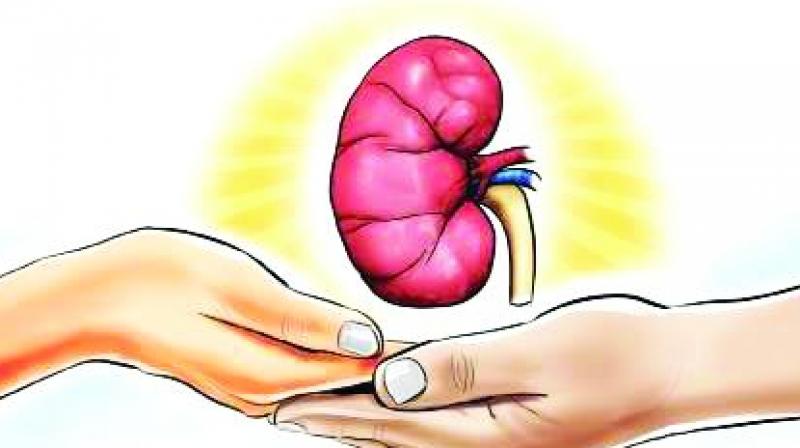 The proposal to pay donors is set out in a policy document of the Union ministry of health and family welfare and states that a corpus fund must be created for the utilisation of transplant expenses.