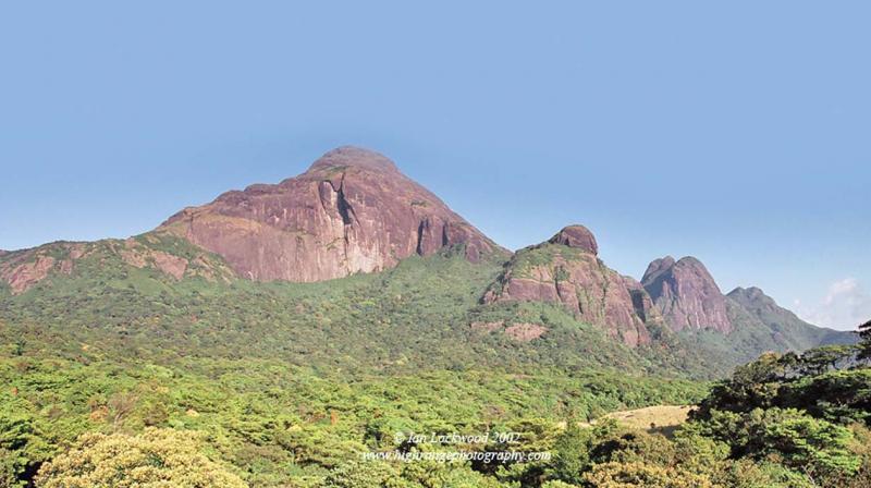 Agasthyamalai Biosphere Reserve includes the habitat for 2,000 varieties of medicinal plants, of which at least 50 are rare and endangered species.