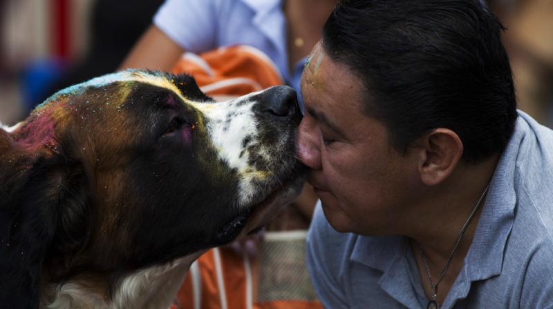 In photos: Kukur Tihar, sharing the bond between man and dog in Mexico