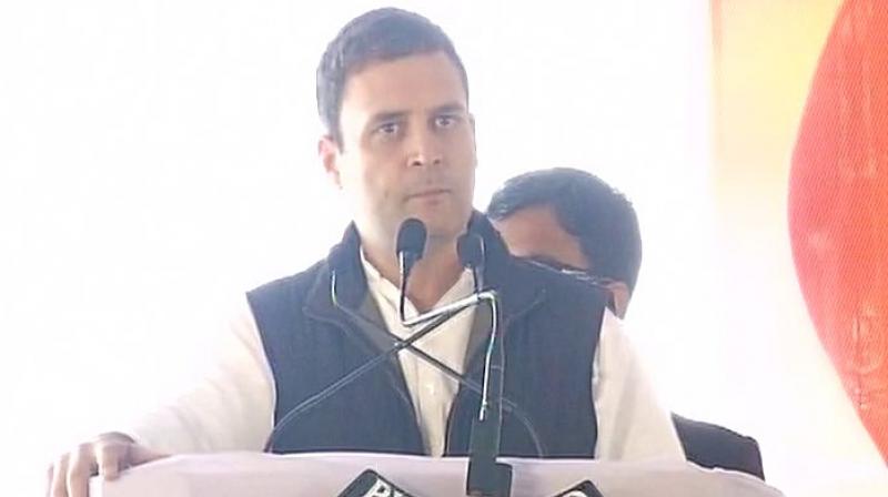 Congress Vice President Rahul