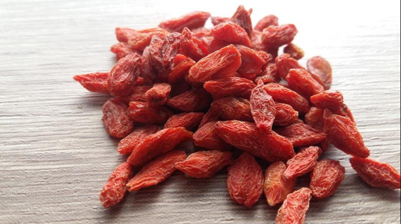 Researchers discover goji berries could treat 2 deadly tropical diseases. (Photo: Pixabay)